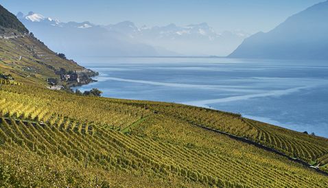 Cgn Joyaux De Lavaux