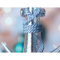 Croisières "Fêtes de fin d'année" - Genève