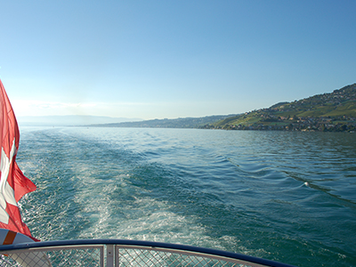 data-widget-tag-item=