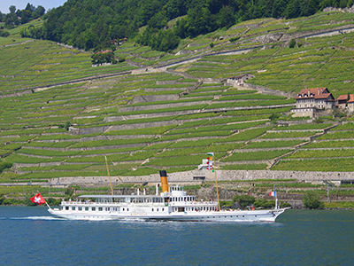 data-widget-tag-item=