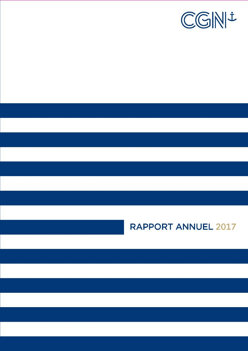 rapport annuel 2017