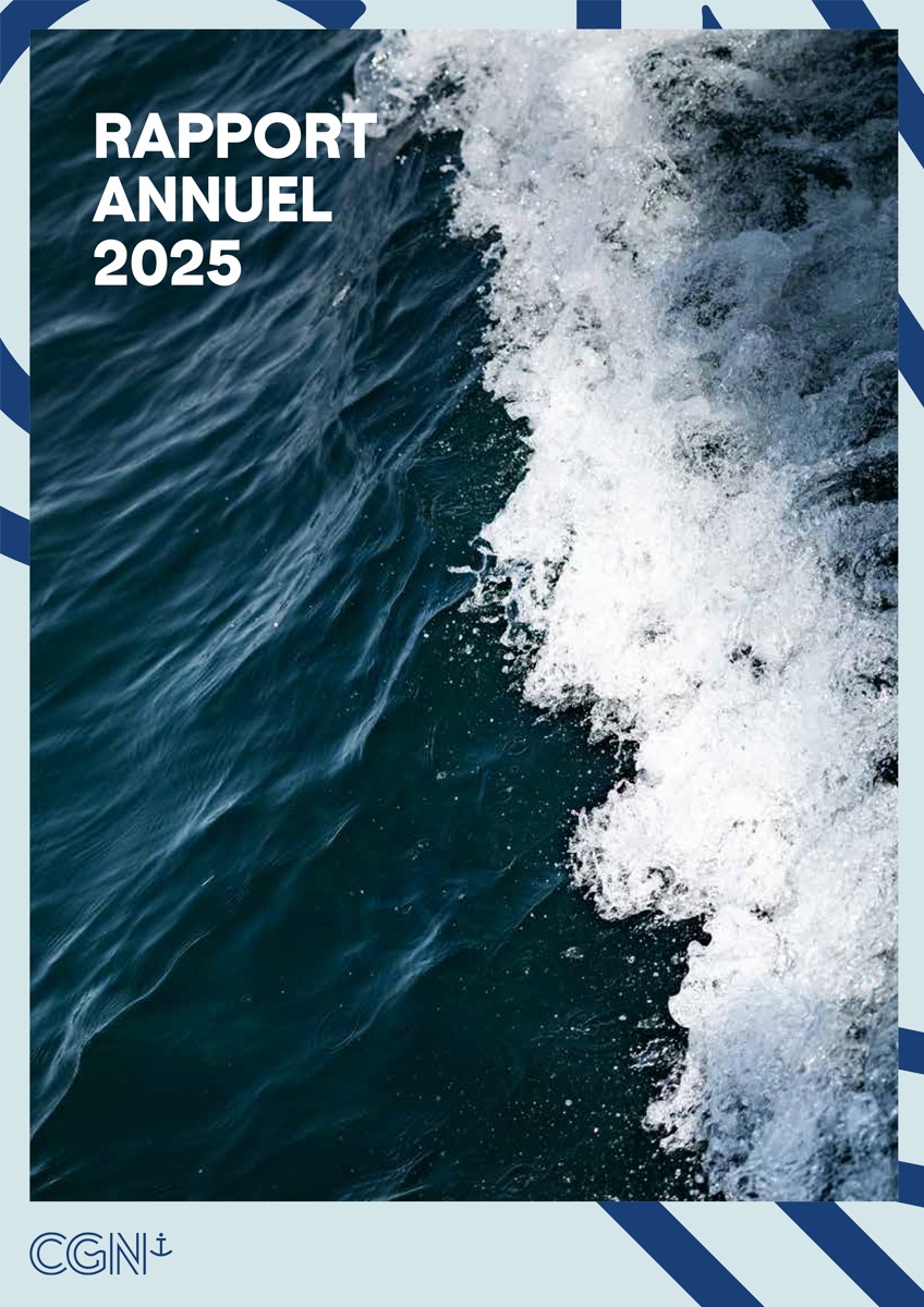 rapport annuel 2025