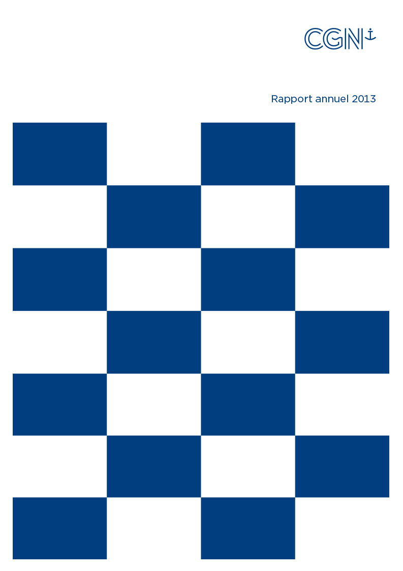 rapport annuel 2013