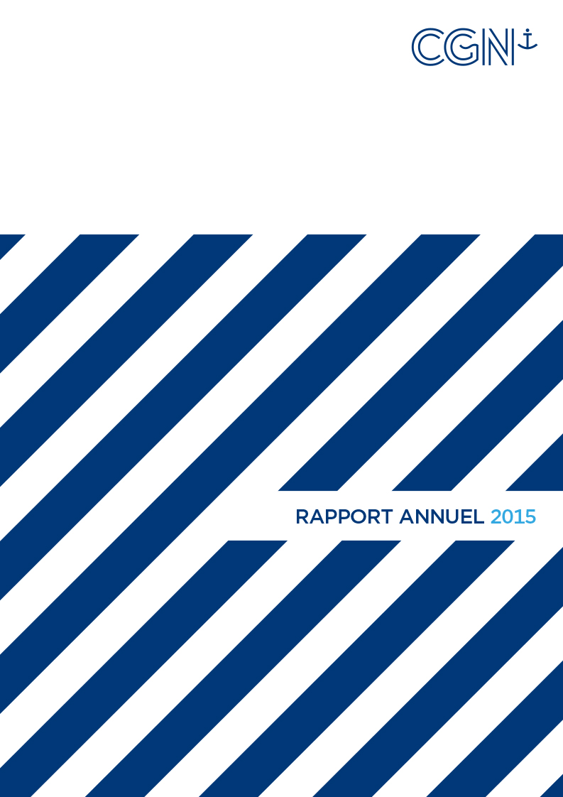 rapport annuel 2015