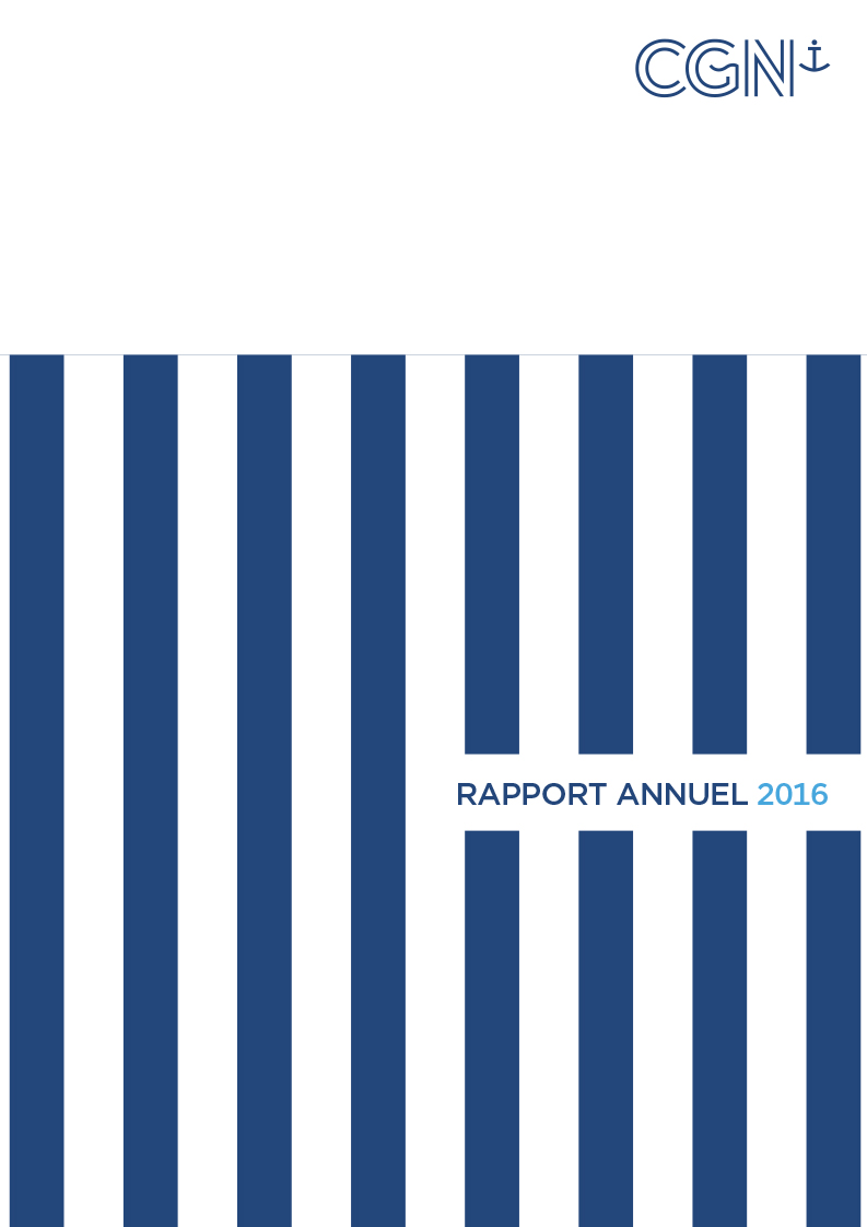 rapport annuel 2016