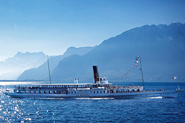 cruise and discover